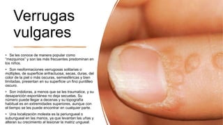 Verrugas
vulgares
• Se les conoce de manera popular como
“mezquinos” y son las más frecuentes predominan en
los niños.
• Son neoformaciones verrugosas solitarias o
múltiples, de superficie anfractuosa, secas, duras, del
color de la piel o más oscuras, semiesféricas y bien
limitadas, presentan en su superficie un fino puntilleo
oscuro.
• Son indoloras, a menos que se les traumatice, y su
desaparición espontánea no deja secuelas. Su
número puede llegar a decenas y su topografía
habitual es en extremidades superiores, aunque con
el tiempo se les puede encontrar en cualquier parte.
• Una localización molesta es la periungueal o
subungueal en las manos, ya que levantan las uñas y
alteran su crecimiento al lesionar la matriz ungueal.
 
