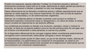 Pueden ser pequenas, apenas salientes (“crestas” en el termino popular) o alcanzar
dimensiones excesivas, sobre todo en la mujer, deformando la region genital que pierde su
anatomia, se maceran e infectan y despiden un olor muy desagradable.
Deben diferenciarse de los llamados condilomas planos o sifilides papuloerosivas que se
asientan en estas regiones, muy ricas en treponemas. En este caso se trata de papulas
aplanadas y erosionadas y no de neoformaciones vegetantes.
Ademas, los condilomas planos no tienden a persistir, pues aunque no reciban el
tratamiento especifico evolucionan hacia su desaparicion y, en casos de dudas, el campo
oscuro revelara los treponemas en las lesiones sifiliticas.
Los condilomas acuminados no tienden a la involucion, persisten, crecen y motivan la
consulta, no tanto por el aspecto estetico como en los dos primeros tipos de verrugas, sino
por el temor a la transmision a otras personas, lo cual es muy posible.
En el diagnostico diferencial de las verrugas vulgares deben considerarse padecimientos
verrugosos como cromomicosis, tuberculosis verrugosa y nevos verrugosos.
La histopatologia puede ayudar en tales casos, ya que en las lesiones virales, ademas de
la hiperqueratosis y la papilomatosis que ocasionan la verrugosidad, se observa una
vacuolizacion de las celulas epidermicas resultado de la degeneracion balonizante que los
virus producen con inclusiones citoplasmaticas.
 