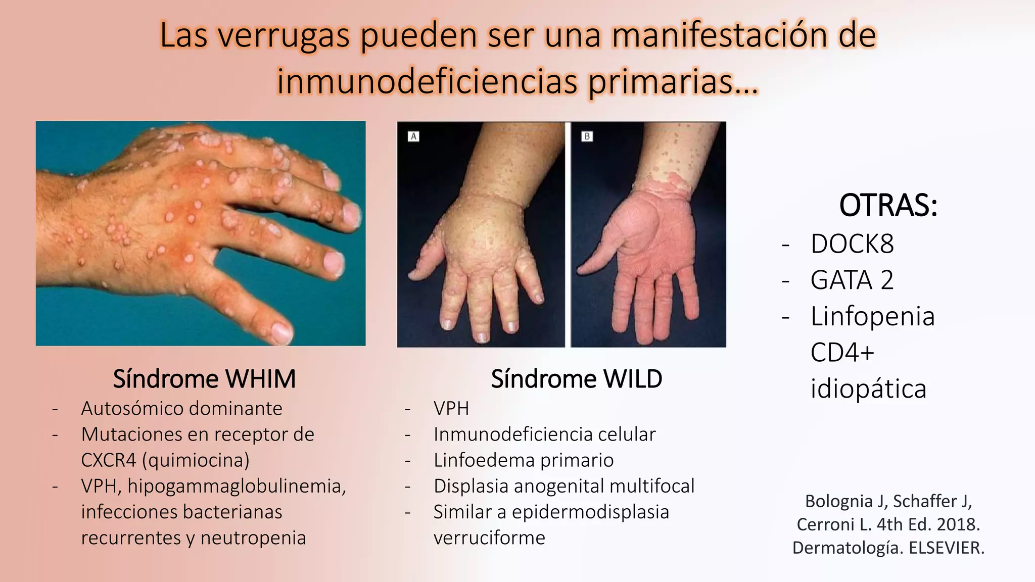 Infección por el Virus del Papiloma Humano (VPH): Verrugas Cutáneas y ...