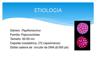 ETIOLOGIA


Género Papillomavirus
Familia: Papovaviridae
Tamaño: 50-55 nm
Capside icosaédrica, (72 capsómeros)
Doble cadena de circular de DNA (8.000 pb)
 
