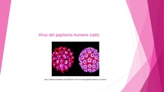 Virus del papiloma humano (vph)

http://diazrisco.wordpress.com/2010/03/11/los-virus-del-papiloma-humano-y-el-cancer/

 