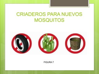 CRIADEROS PARA NUEVOS
MOSQUITOS
FIGURA 7
 