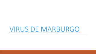 VIRUS DE MARBURGO
 