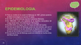 EPIDEMIOLOGIA.
 Toma su nombre en la ciudad de Marburgo en 1967, primera epidemia
de fiebre hemorrágica, se reportan 37 casos.
 En 1975, en Johannesburgo reportan 3 personas infectadas.
 De 1998-2000, hubo una epidemia en la republica democrática del
Congo donde había 154 enfermos con 128 muertos.
 De 2004-2005, en Angola, hubo 374 casos con 88% de muertes.
 Se cree que la fiebre de Marburgo puede ser una zoonosis, pero por el
momento todavía no ha sido identificado el depósito del virus, a pesar
de que se han tomado en consideración muchas especies animales.
 Se cree que el virus de Marburgo puede ser endémico en muchas áreas
del África Central.
#3
INDICE.
 