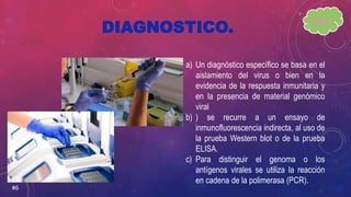 DIAGNOSTICO.
a) Un diagnóstico específico se basa en el
aislamiento del virus o bien en la
evidencia de la respuesta inmunitaria y
en la presencia de material genómico
viral
b) ) se recurre a un ensayo de
inmunofluorescencia indirecta, al uso de
la prueba Western blot o de la prueba
ELISA.
c) Para distinguir el genoma o los
antígenos virales se utiliza la reacción
en cadena de la polimerasa (PCR).
#6
INDICE.
 