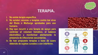 TERAPIA.
i. No existe terapia específica.
ii. No existen vacunas o terapias contra los virus
del Ébola o Marburgo aprobadas para uso
humano.
iii. Hay que recurrir a una terapia de apoyo para
controlar el volumen hemático, el balance
electrolítico y monitorizar atentamente la
presencia de infecciones secundarias.
iv. Se han propuesto terapias a base de suero
obtenido de sujetos curados o con interferon.
#7
INDICE.
 