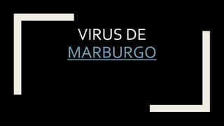 VIRUS DE
MARBURGO
 