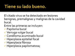 El citado virus se ha detectado en lesiones
benignas, premalignas y malignas de la cavidad
bucal.
Entre las primeras se incluyen:
 Papiloma bucal
 Verruga vulgar bucal
 Condiloma acuminado bucal
 Hiperplasia epitelial focal
 Hiperplasia fibrosa
 Hiperplasia papilomatosa;
 