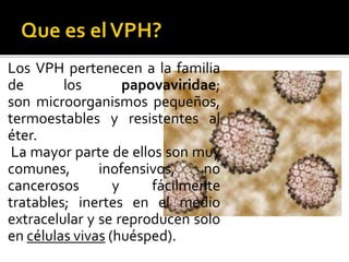 Los VPH pertenecen a la familia
de los papovaviridae;
son microorganismos pequeños,
termoestables y resistentes al
éter.
La mayor parte de ellos son muy
comunes, inofensivos, no
cancerosos y fácilmente
tratables; inertes en el medio
extracelular y se reproducen solo
en células vivas (huésped).
 