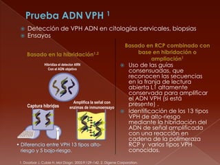    Detección de VPH ADN en citologías cervicales, biopsias
    Ensayos
                                                                  Basado en RCP combinado con
     Basado en la hibridación1,2                                      base en hibridación o
                                                                          ampliación1
                Hibridiza el detector ARN                      Uso de las guías
                  Con el ADN objetivo
                                                                consensuadas, que
                                                                reconocen las secuencias
                                                                en la franja de lectura
                                                                abierta L1 altamente
                                                                conservada para amplificar
                                                                el ADN VPH (si está
                                   Amplifica la señal con
     Captura híbridas            enzimas de inmunoensayo
                                                                presente) .
                                                               Identificación de los 13 tipos
                                                                VPH de alto-riesgo
                                                                mediante la hibridación del
                                                                ADN de señal amplificada
                                                                con una reacción en
                                                                cadena de la polimeraza
• Diferencia entre VPH 13 tipos alto-                           RCP y varios tipos VPH
  riesgo y 5 bajo-riesgo.                                       conocidos.

 1. Doorbar J, Cubie H. Mol Diagn. 2005;9:129–142. 2. Digene Corporation.
 