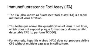 Immunofluorescence Foci Assay (IFA)
• The IFA (also known as fluorescent foci assay FFA) is a rapid
method of virus titration.
• This technique allows the quantification of virus in cell lines,
which does not support plaque formation or do not exhibit
detectable CPE (to perform TCID50).
• For example, hepatitis A virus (HAV) does not produce visible
CPE without multiple passages in cell culture.
 
