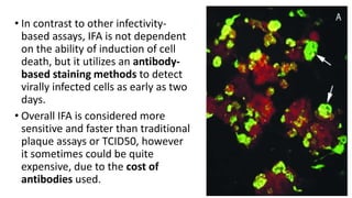 • In contrast to other infectivity-
based assays, IFA is not dependent
on the ability of induction of cell
death, but it utilizes an antibody-
based staining methods to detect
virally infected cells as early as two
days.
• Overall IFA is considered more
sensitive and faster than traditional
plaque assays or TCID50, however
it sometimes could be quite
expensive, due to the cost of
antibodies used.
 