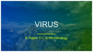 VIRUS
K.Rajani D.L in Microbiology
 
