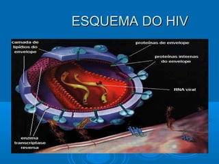 Slides da aula de Biologia (Renato) sobre Vírus e a Saúde Humana