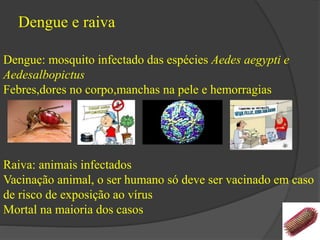 Dengue e raiva 
Dengue: mosquito infectado das espécies Aedes aegypti e 
Aedesalbopictus 
Febres,dores no corpo,manchas na pele e hemorragias 
Raiva: animais infectados 
Vacinação animal, o ser humano só deve ser vacinado em caso 
de risco de exposição ao vírus 
Mortal na maioria dos casos 
 