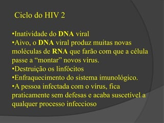 Ciclo do HIV 2 
•Inatividade do DNA viral 
•Aivo, o DNA viral produz muitas novas 
moléculas de RNA que farão com que a célula 
passe a “montar” novos vírus. 
•Destruição os linfócitos 
•Enfraquecimento do sistema imunológico. 
•A pessoa infectada com o vírus, fica 
praticamente sem defesas e acaba suscetível a 
qualquer processo infeccioso 
 
