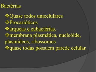 Bactérias 
Quase todos unicelulares 
Procarióticos 
arqueas e eubactérias. 
membrana plasmática, nucleóide, 
plasmídeos, ribossomos 
quase todas possuem parede celular. 
 