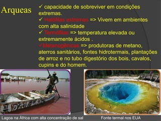Arqueas 
 capacidade de sobreviver em condições 
extremas. 
 Halófilas extremas => Vivem em ambientes 
com alta salinidade 
 Termófilas => temperatura elevada ou 
extremamente ácidos . 
Metanogênicas => produtoras de metano, 
aterros sanitários, fontes hidrotermais, plantações 
de arroz e no tubo digestório dos bois, cavalos, 
cupins e do homem. 
Lagoa na África com alta concentração de sal Fonte termal nos EUA 
 