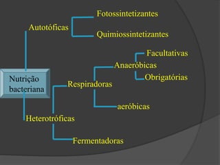 Fotossintetizantes 
Facultativas 
Anaeróbicas 
Obrigatórias 
aeróbicas 
Respiradoras 
Heterotróficas 
Fermentadoras 
Autotóficas 
Quimiossintetizantes 
Nutrição 
bacteriana 
 