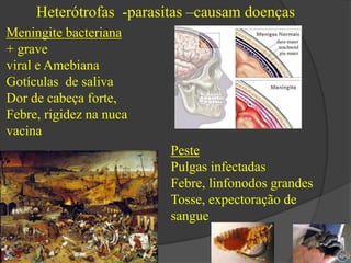 Heterótrofas -parasitas –causam doenças 
Meningite bacteriana 
+ grave 
viral e Amebiana 
Gotículas de saliva 
Dor de cabeça forte, 
Febre, rigidez na nuca 
vacina 
Peste 
Pulgas infectadas 
Febre, linfonodos grandes 
Tosse, expectoração de 
sangue 
 
