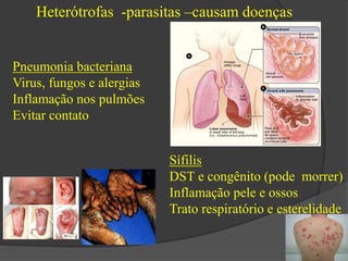 Heterótrofas -parasitas –causam doenças 
Pneumonia bacteriana 
Virus, fungos e alergias 
Inflamação nos pulmões 
Evitar contato 
Sífilis 
DST e congênito (pode morrer) 
Inflamação pele e ossos 
Trato respiratório e esterelidade 
 