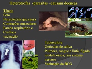 Heterótrofas -parasitas –causam doenças 
Tétano 
Solo 
Neurotoxina que causa 
Contrações musculares 
Parada respiratória e 
Cardíaca 
vacinação 
Tuberculose 
Gotículas de saliva 
Pulmões, sangue e linfa, fígado 
medula óssea, rins sistema 
nervoso 
Vacinação da BCG 
 