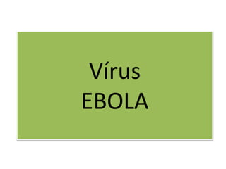 Vírus 
EBOLA 
 