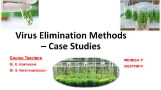 Virus Elimination Methods
– Case Studies
Course Teachers
Dr. E. Kokiladevi
Dr. S. Varanavasiappan
VIGNESH. P
2020615014
 