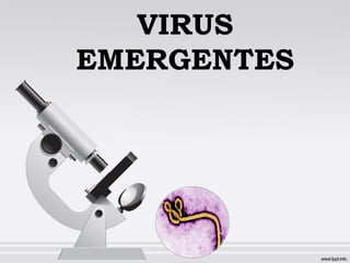 VIRUS
EMERGENTES
 
