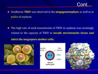 Cont…
Seedborne TRSV was observed in the megagametophyte as well as in
pollen of soybean.
The high rate of seed transmission of TRSV in soybean was seemingly
related to the capacity of TRSV to invade meristematic tissue and
infect the megaspore mother cells.
 