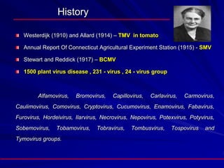 History
Westerdijk (1910) and Allard (1914) – TMV in tomato
Annual Report Of Connecticut Agricultural Experiment Station (1915) - SMV
Stewart and Reddick (1917) – BCMV
1500 plant virus disease , 231 - virus , 24 - virus group
Alfamovirus, Bromovirus, Capillovirus, Carlavirus, Carmovirus,
Caulimovirus, Comovirus, Cryptovirus, Cucumovirus, Enamovirus, Fabavirus,
Furovirus, Hordeivirus, Ilarvirus, Necrovirus, Nepovirus, Potexvirus, Potyvirus,
Sobemovirus, Tobamovirus, Tobravirus, Tombusvirus, Tospovirus and
Tymovirus groups.
 