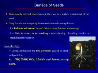 Surface of Seeds
Systemically infected plants transmit the virus as a surface contaminant of the
seed.
Very few viruses are qualify for transmission and causing disease.
1 – Stable to withstand in seed dehydration , harvest and storage .
2 – Able to enter in to seedling - transplanting , handling results in
mechanical inoculation .
way of entry :
 During germination the tiny abrasions caused by small
soil particles .
Ex: TMV, ToMV, PVX, CGMMV and Tomato bushy
stunt,
 