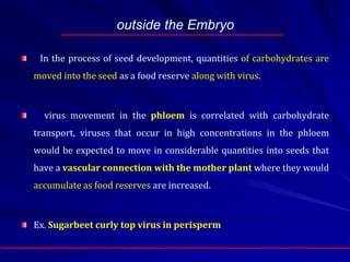 outside the Embryo
In the process of seed development, quantities of carbohydrates are
moved into the seed as a food reserve along with virus.
virus movement in the phloem is correlated with carbohydrate
transport, viruses that occur in high concentrations in the phloem
would be expected to move in considerable quantities into seeds that
have a vascular connection with the mother plant where they would
accumulate as food reserves are increased.
Ex. Sugarbeet curly top virus in perisperm
 