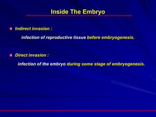 Inside The Embryo
Indirect invasion :
infection of reproductive tissue before embryogenesis.
Direct invasion :
infection of the embryo during some stage of embryogenesis.
 