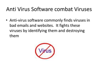 Viruses