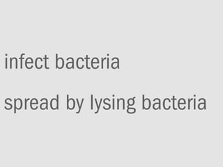 infect bacteria
spread by lysing bacteria