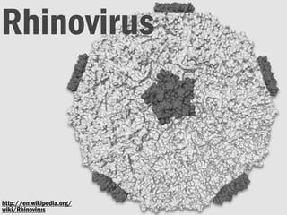 Rhinovirus
http://en.wikipedia.org/
wiki/Rhinovirus