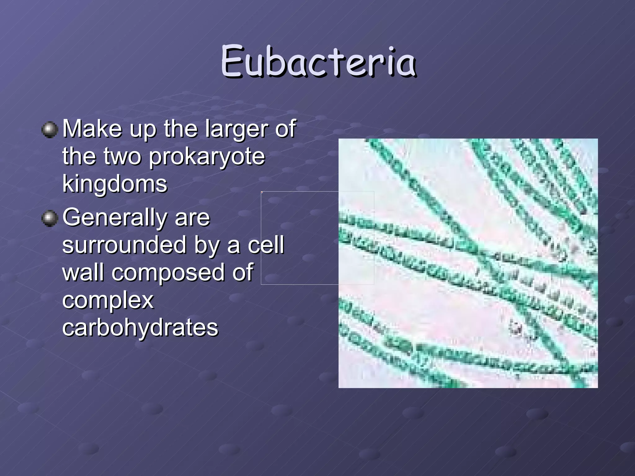 Eubacteria Make up the larger of the two prokaryote kingdoms Generally are surrounded by a cell wall composed of complex carbohydrates 