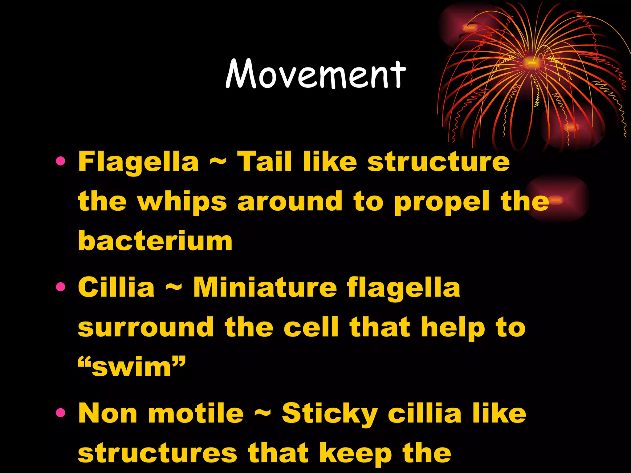 Movement Flagella ~ Tail like structure the whips around to propel the bacterium Cillia ~ Miniature flagella surround the cell that help to “swim” Non motile ~ Sticky cillia like structures that keep the bacterium from moving 