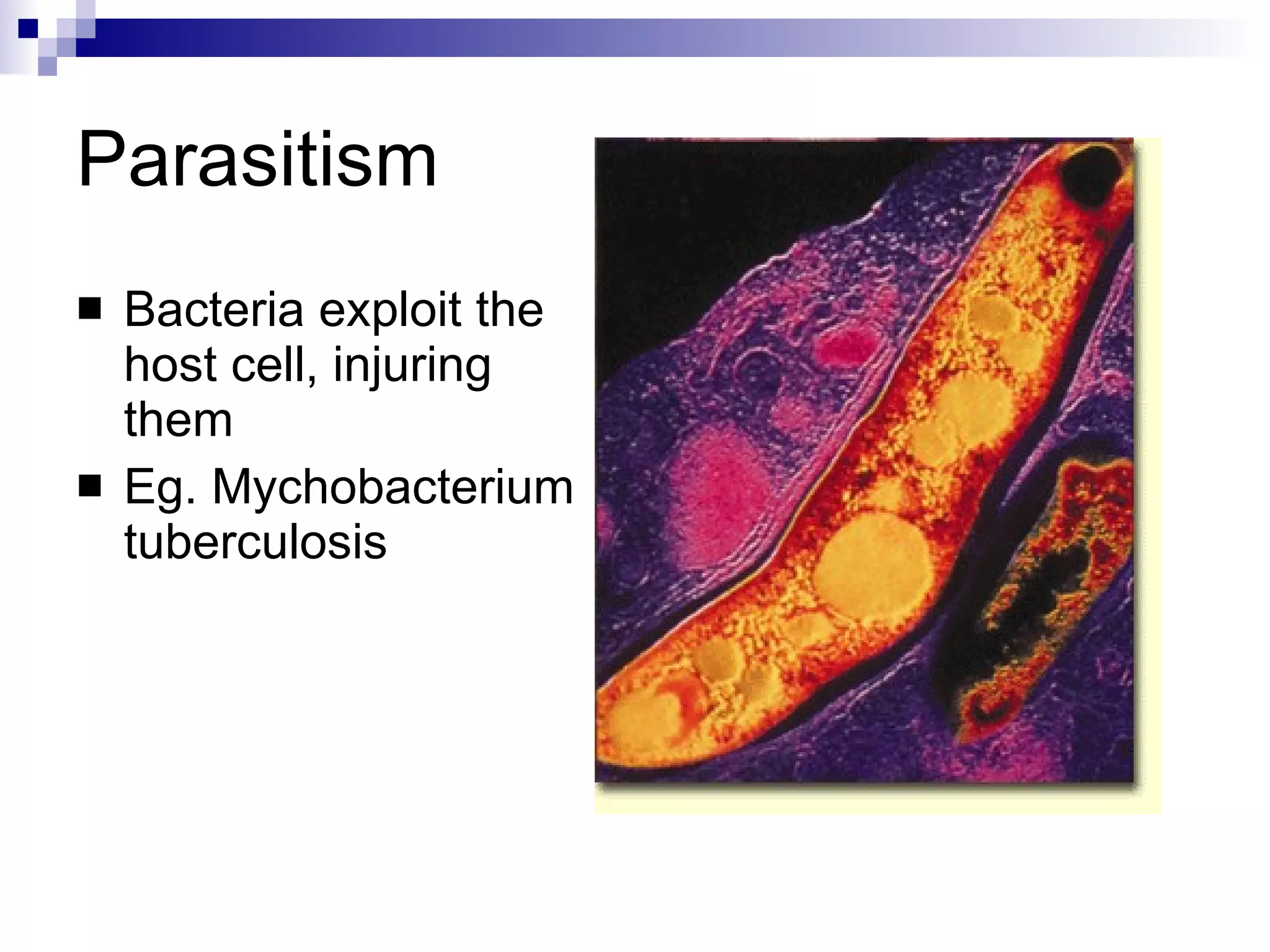 Parasitism Bacteria exploit the host cell, injuring them Eg. Mychobacterium tuberculosis 