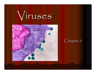 Viruses

          Chapter 3
 