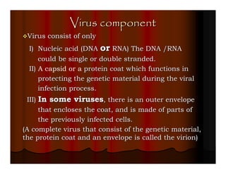 Virus component
 Virus consist of only
  I) Nucleic acid (DNA or RNA) The DNA /RNA
      could be single or double stranded.
  II) A capsid or a protein coat which functions in
      protecting the genetic material during the viral
      infection process.
 III) In some viruses, there is an outer envelope
      that encloses the coat, and is made of parts of
      the previously infected cells.
(A complete virus that consist of the genetic material,
the protein coat and an envelope is called the virion)
 