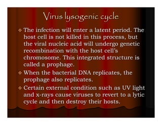 Virus lysogenic cycle
The infection will enter a latent period. The
host cell is not killed in this process, but
the viral nucleic acid will undergo genetic
recombination with the host cell’s
chromosome. This integrated structure is
called a prophage.
When the bacterial DNA replicates, the
prophage also replicates.
Certain external condition such as UV light
and x-rays cause viruses to revert to a lytic
cycle and then destroy their hosts.
 