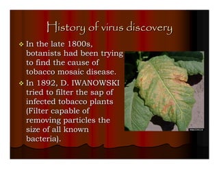 History of virus discovery
In the late 1800s,
botanists had been trying
to find the cause of
tobacco mosaic disease.
In 1892, D. IWANOWSKI
tried to filter the sap of
infected tobacco plants
(Filter capable of
removing particles the
size of all known
bacteria).
 