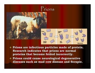 Prions




Prions are infectious particles made of protein.
Research indicates that prions are normal
proteins that become folded incorrectly.
Prions could cause neurological degenerative
diseases such as mad cow disease and Scrapie.
 