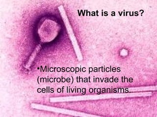 What is a virus?
•Microscopic particles
(microbe) that invade the
cells of living organisms.
 