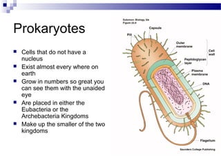 Prokaryotes








Cells that do not have a
nucleus
Exist almost every where on
earth
Grow in numbers so great you
can see them with the unaided
eye
Are placed in either the
Eubacteria or the
Archebacteria Kingdoms
Make up the smaller of the two
kingdoms

 