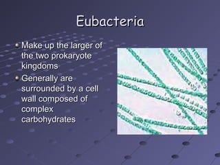 Eubacteria
Make up the larger of
the two prokaryote
kingdoms
Generally are
surrounded by a cell
wall composed of
complex
carbohydrates

 