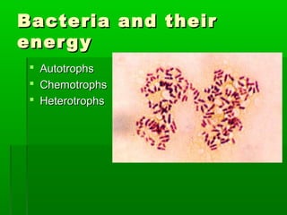 Bacteria and their
ener g y




Autotrophs
Chemotrophs
Heterotrophs

 