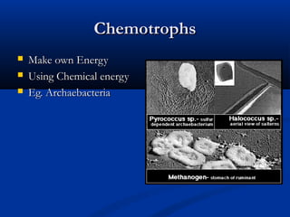 Chemotrophs




Make own Energy
Using Chemical energy
Eg. Archaebacteria

 